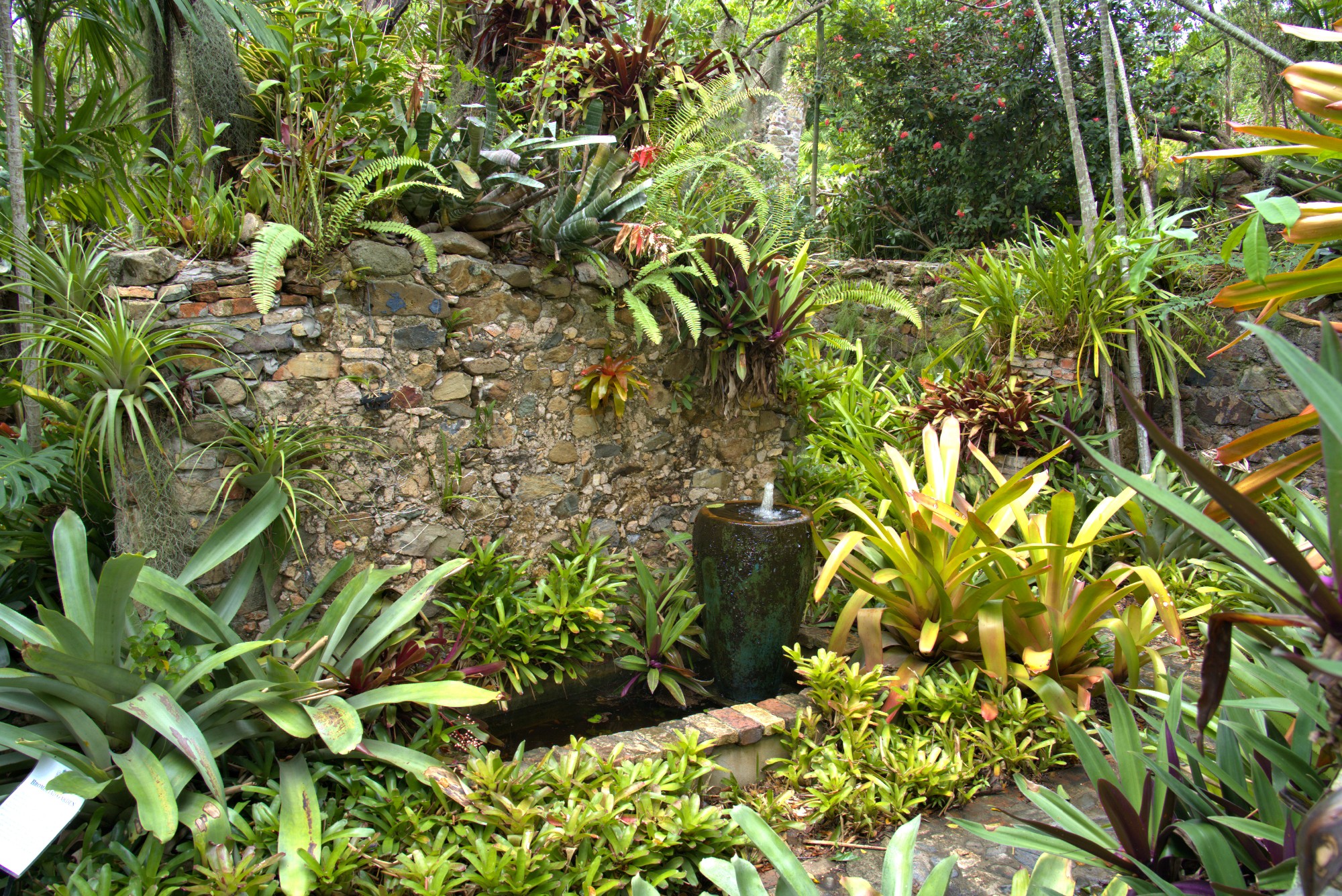 Servicio De Mantenimiento De Jardines En Cantabria